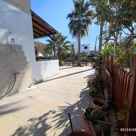 Palm Garden Paradise بيرفوليا المظهر الخارجي الصورة