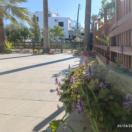 Palm Garden Paradise بيرفوليا المظهر الخارجي الصورة