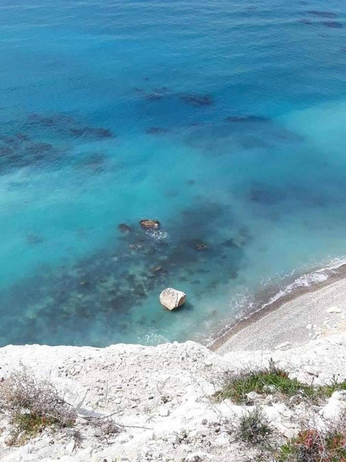 Palm Garden Paradise بيرفوليا المظهر الخارجي الصورة