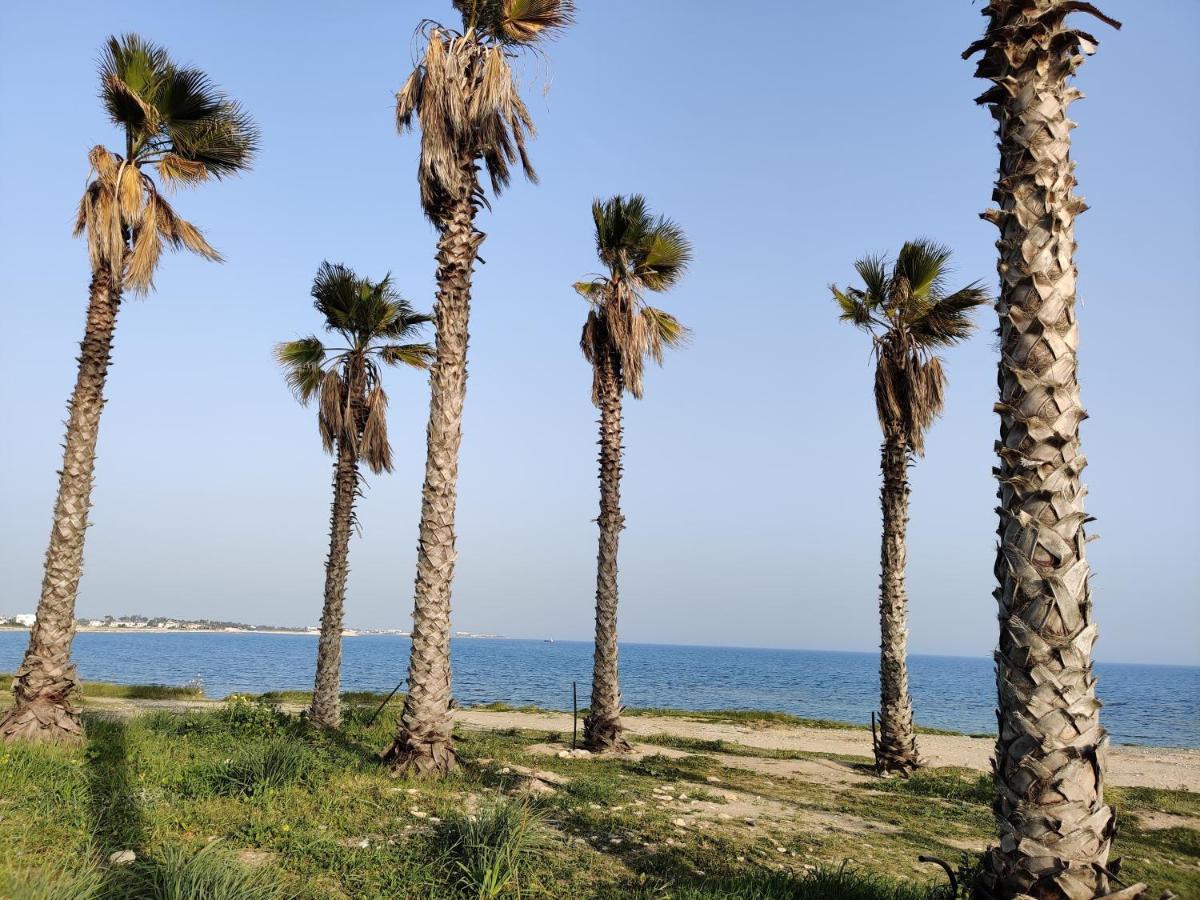 Palm Garden Paradise بيرفوليا المظهر الخارجي الصورة