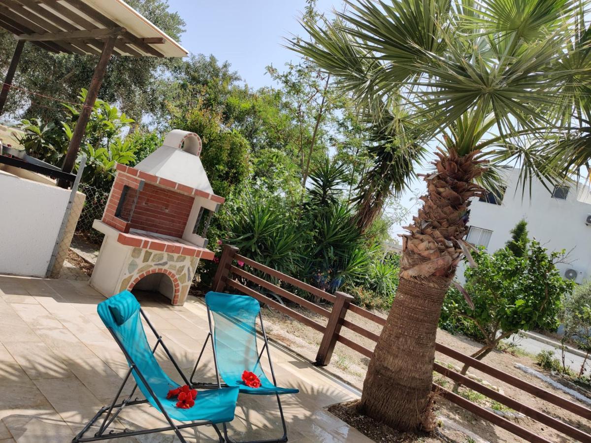 Palm Garden Paradise بيرفوليا المظهر الخارجي الصورة