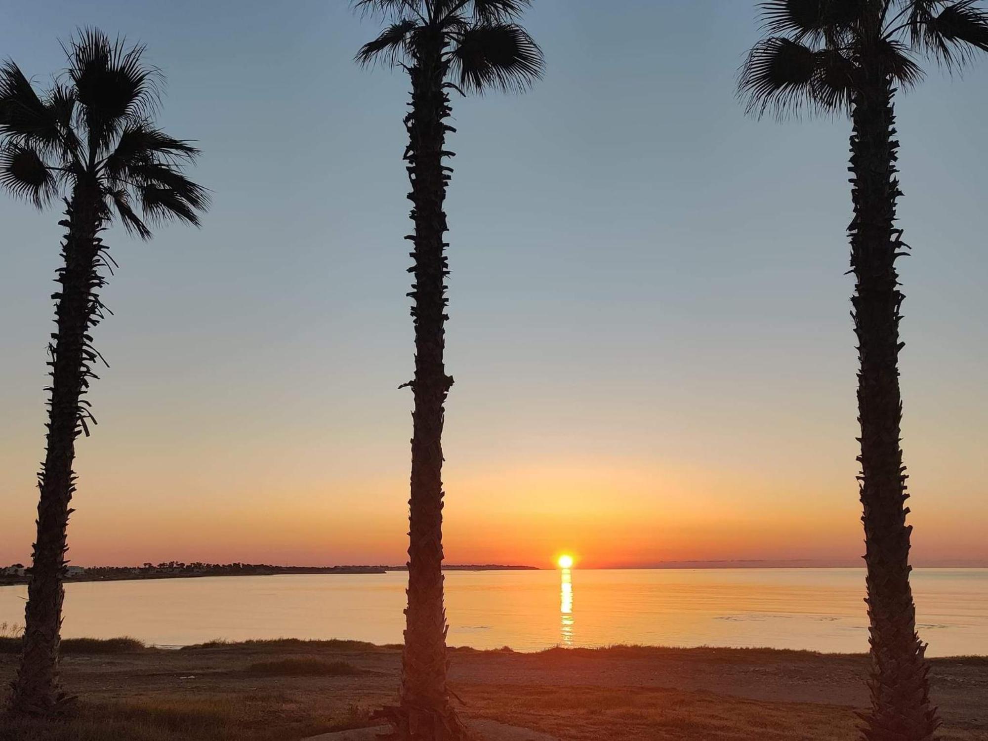 Palm Garden Paradise بيرفوليا المظهر الخارجي الصورة