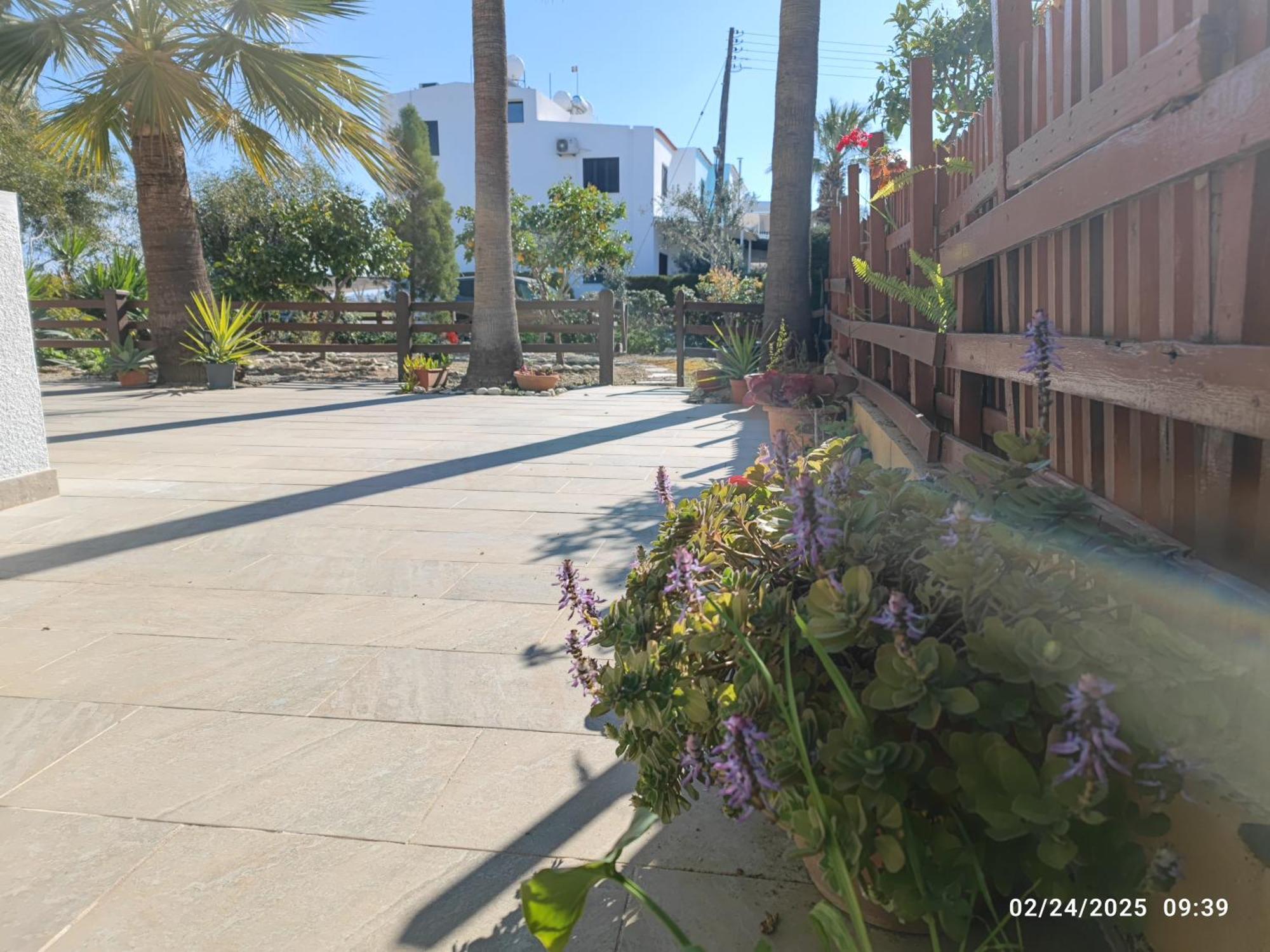 Palm Garden Paradise بيرفوليا المظهر الخارجي الصورة